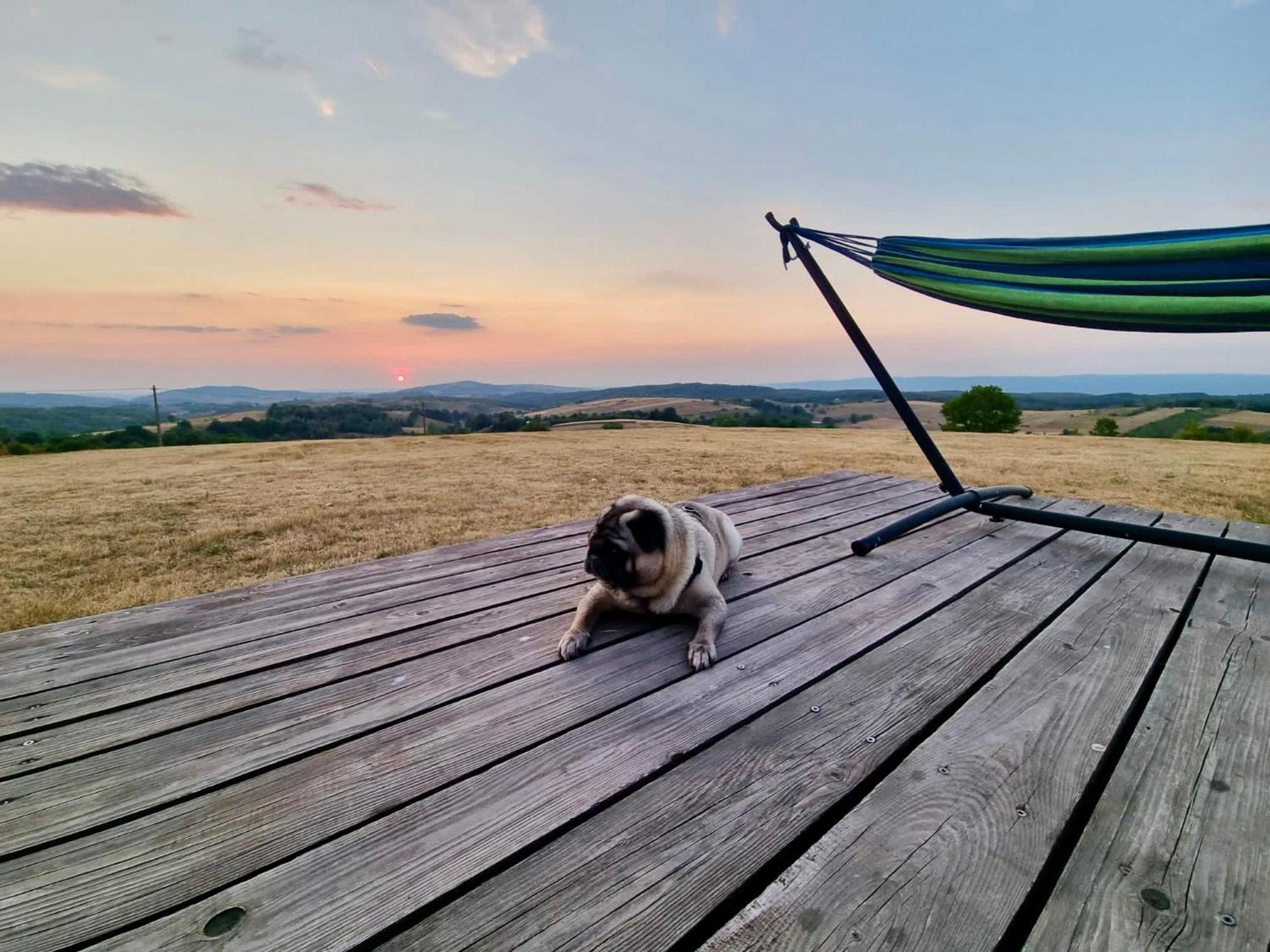 Mountaintop Panoramaview Casa In Bihor Apuseni Vadu Crisului Zewnętrze zdjęcie